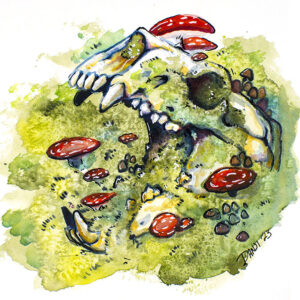 Bear Skull - Original Watercolor 8x8