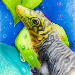 Ursula - Original Art/colored pencil