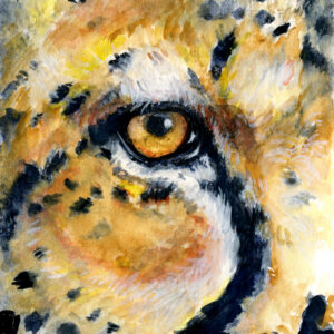 Cheetah's Eye - Watercolor matted 5x7