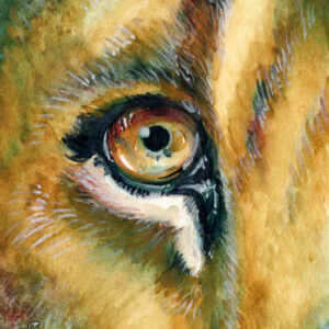 Lion's Eye - Watercolor matted 5x7